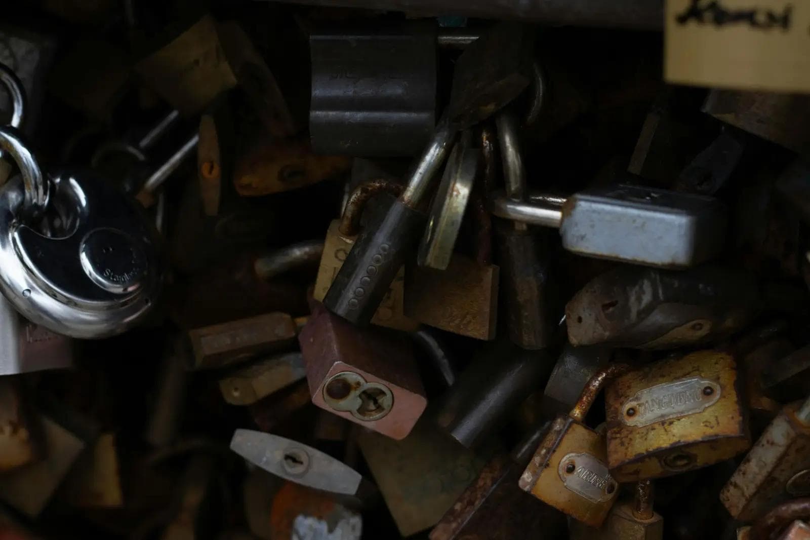 Penetration Testing vs Vulnerability Scanning: What Your Business Actually Needs