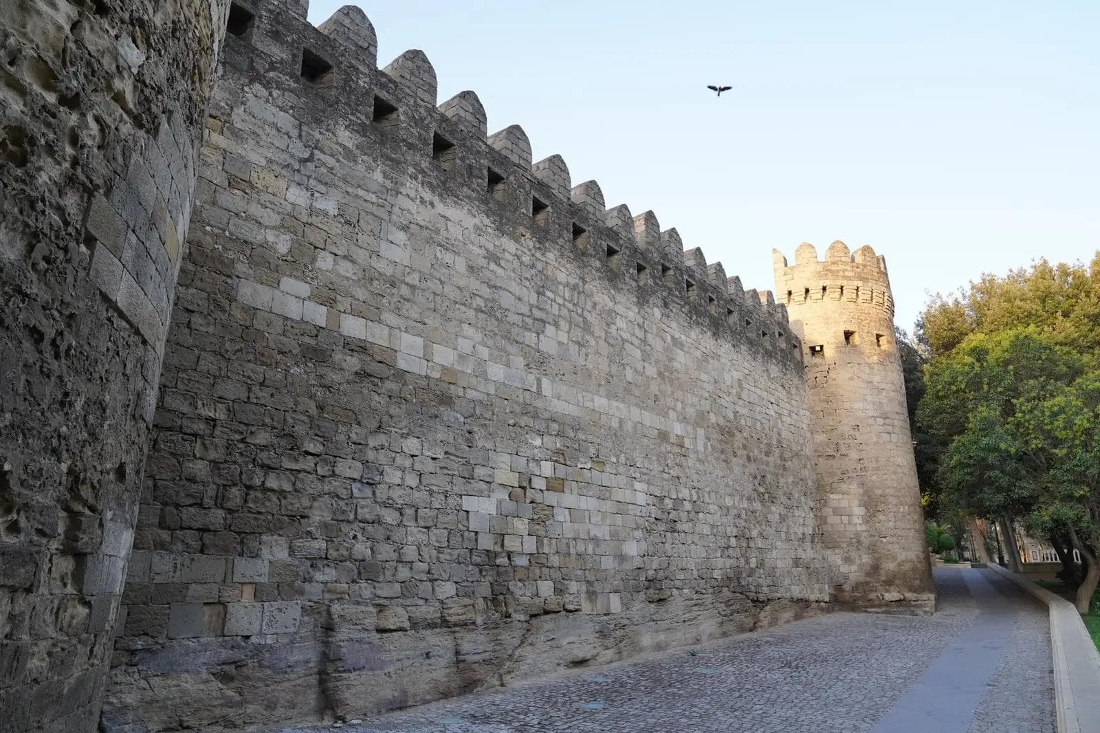 How IronSights Fortify Differs From Other Managed Security Service Plans